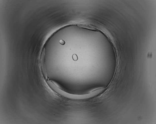 X0000089451344200707131919