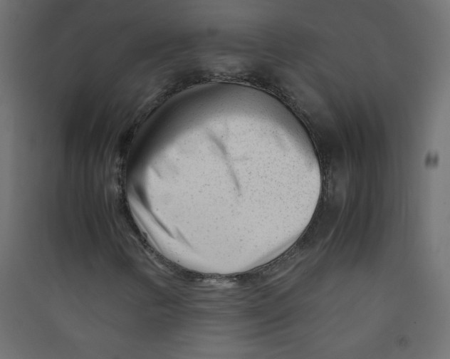 X0000089451346200707131918