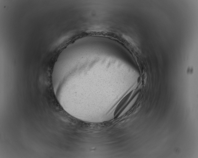 X0000089451350200707131918