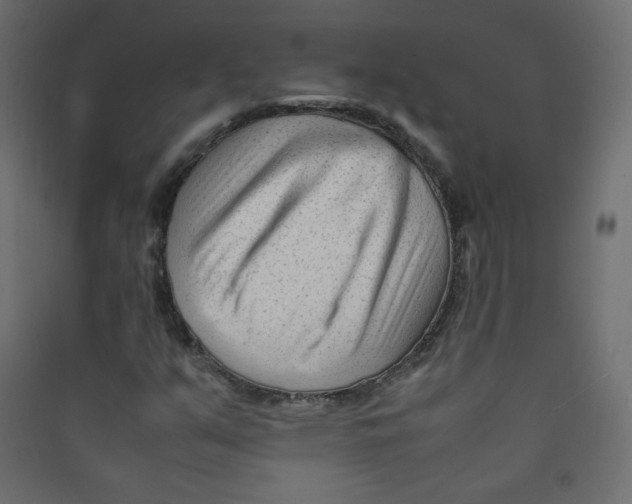 X0000089451351200707131918