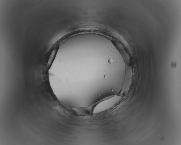 X0000089451352200707131918