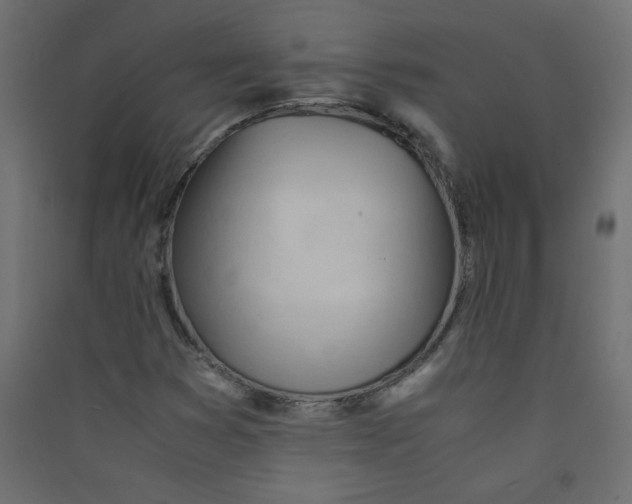 X0000089451353200707131918