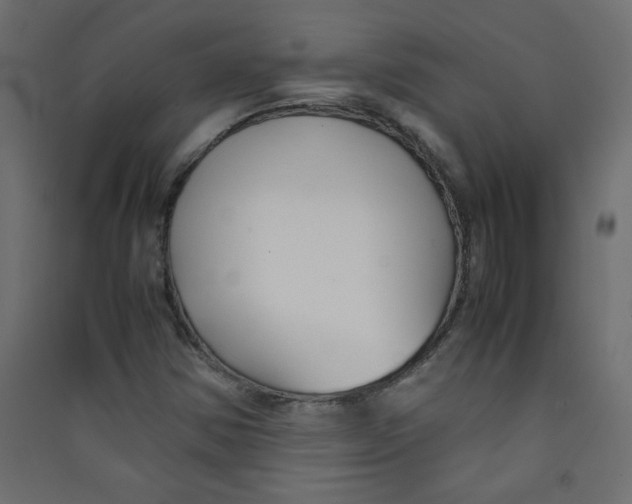 X0000089451354200707131918