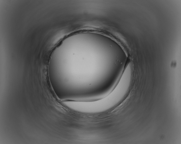 X0000089451355200707131918