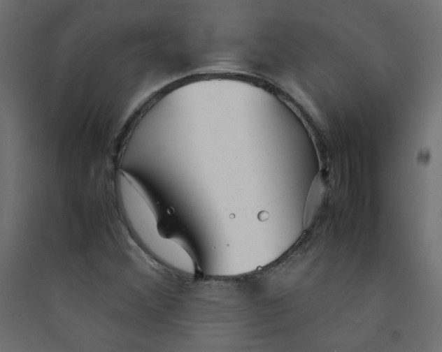 X0000089451356200707131918