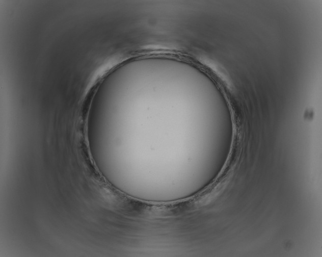 X0000089451357200707131918