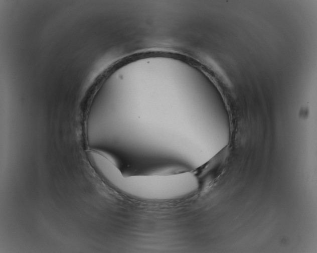 X0000089451360200707131918