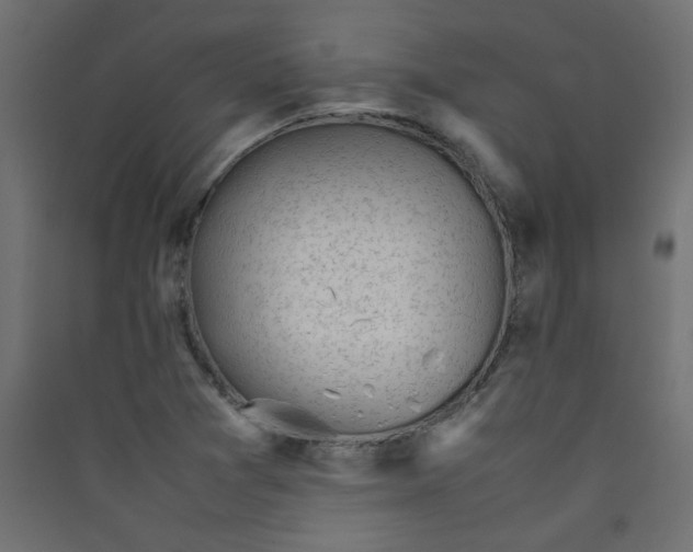 X0000089451361200707131918