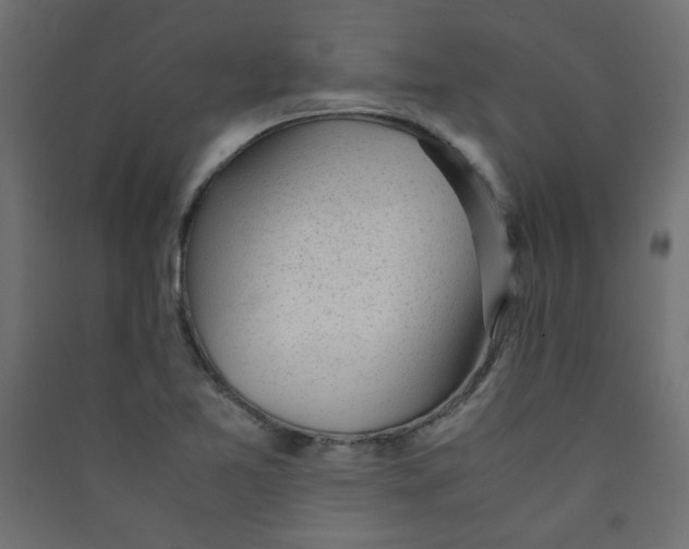 X0000089451365200707131918