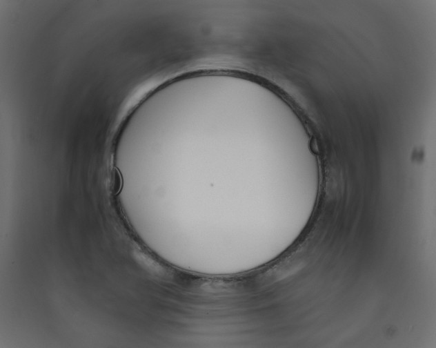 X0000089451366200707131918