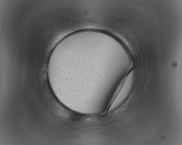 X0000089451367200707131918