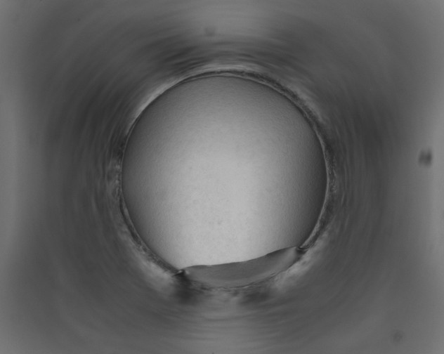 X0000089451369200707131918