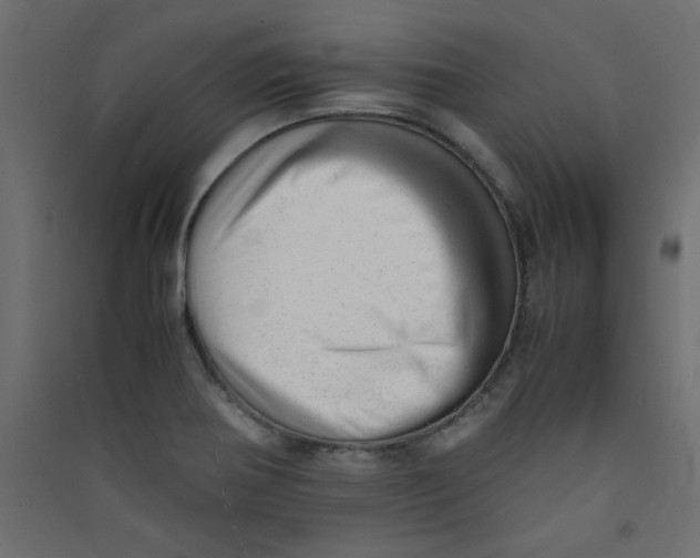 X0000089451370200707131918