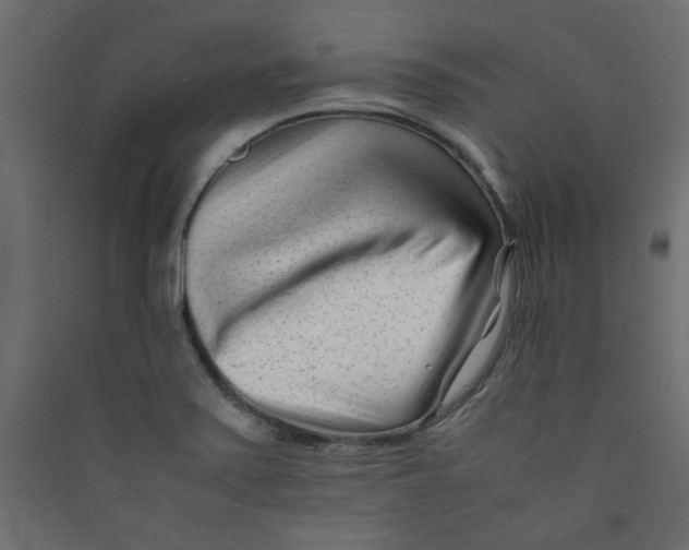 X0000089451371200707131918