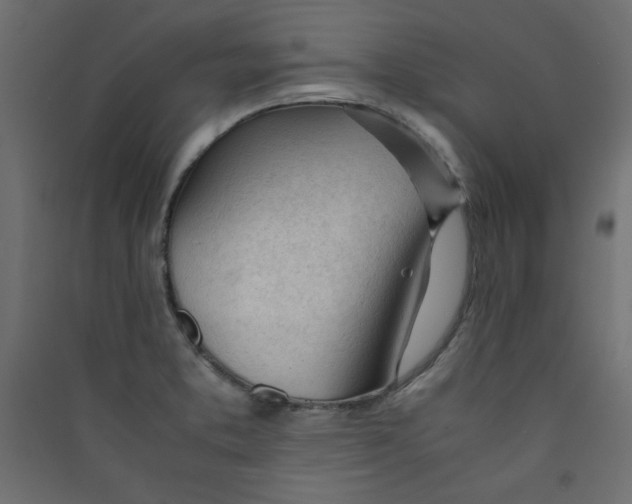 X0000089451373200707131918