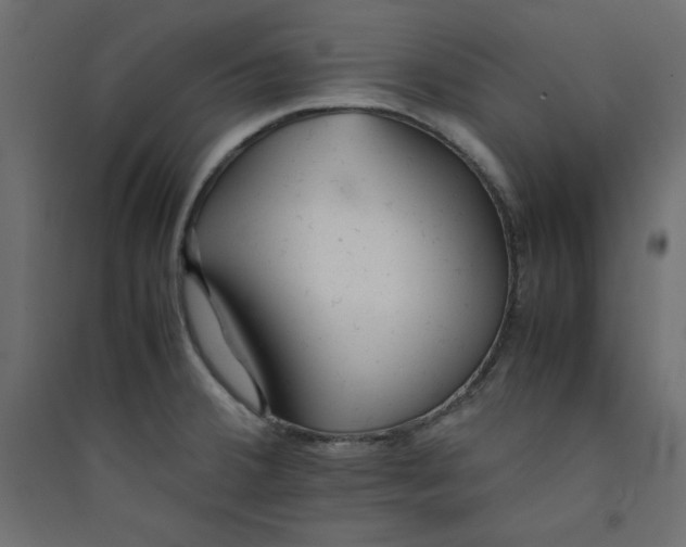 X0000089451380200707131918