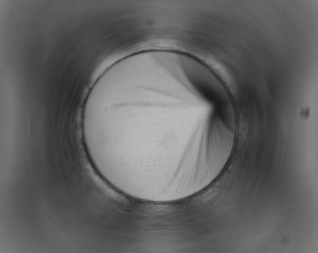 X0000089451382200707131918