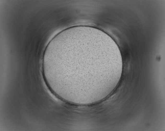 X0000089451383200707131918