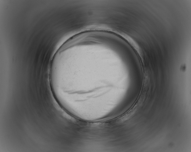 X0000089451390200707131918