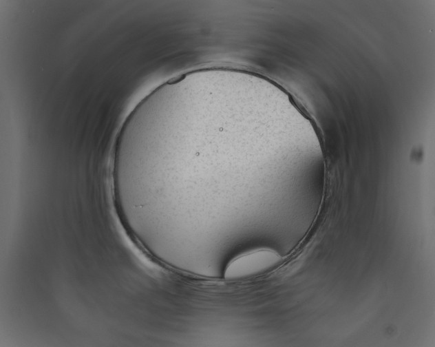 X0000089451391200707131918