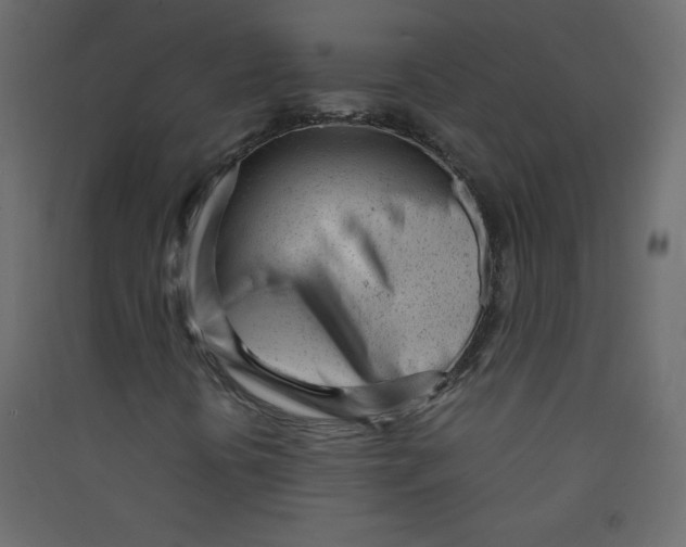 X0000089451394200707131917