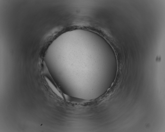 X0000089451398200707131917