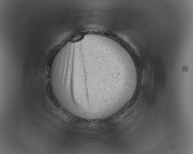 X0000089451399200707131917