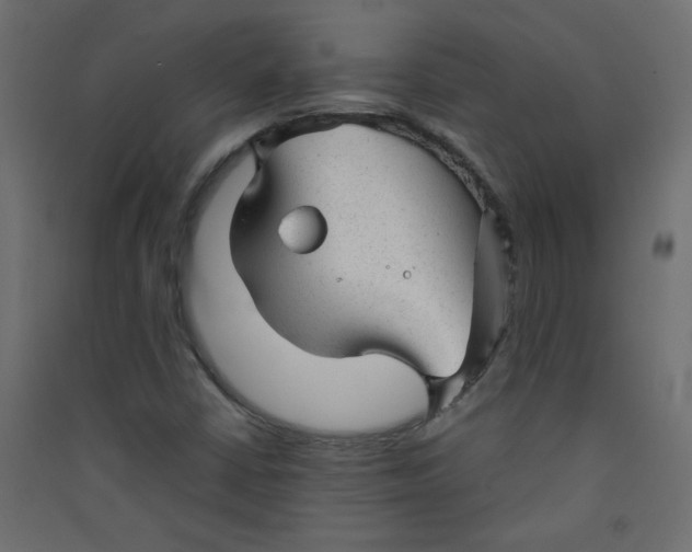 X0000089451402200707131917