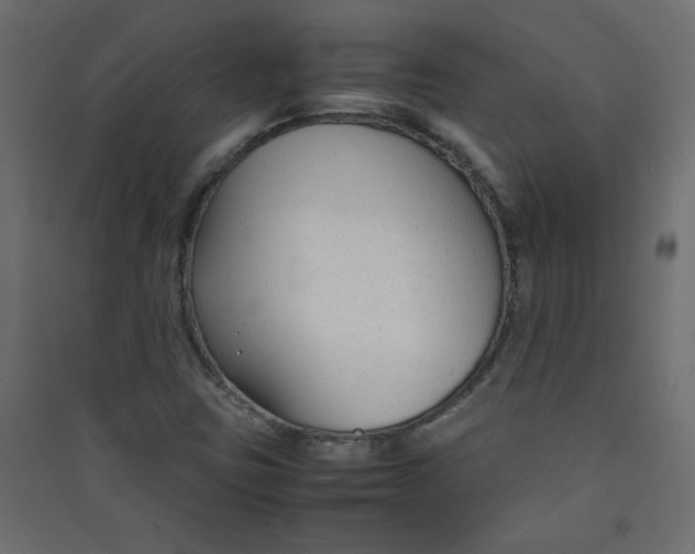 X0000089451403200707131917