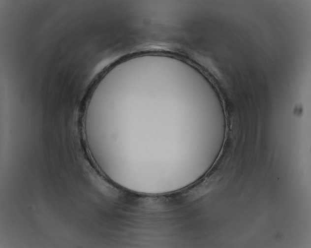 X0000089451404200707131917