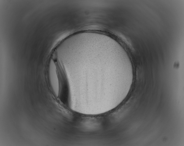 X0000089451405200707131917