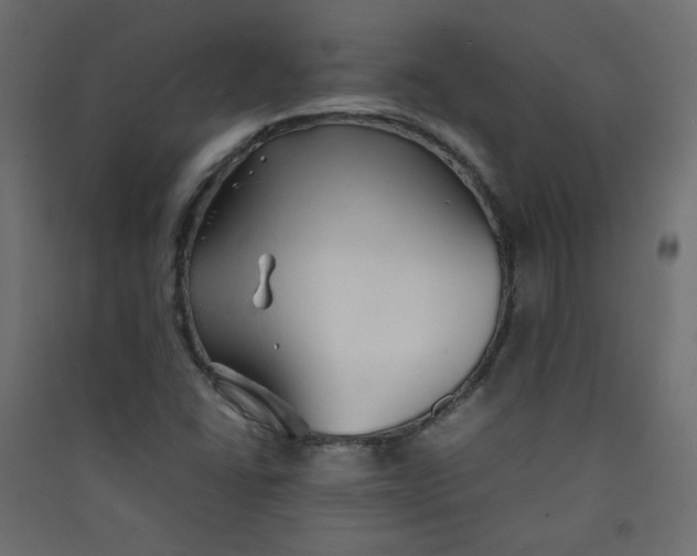 X0000089451406200707131917