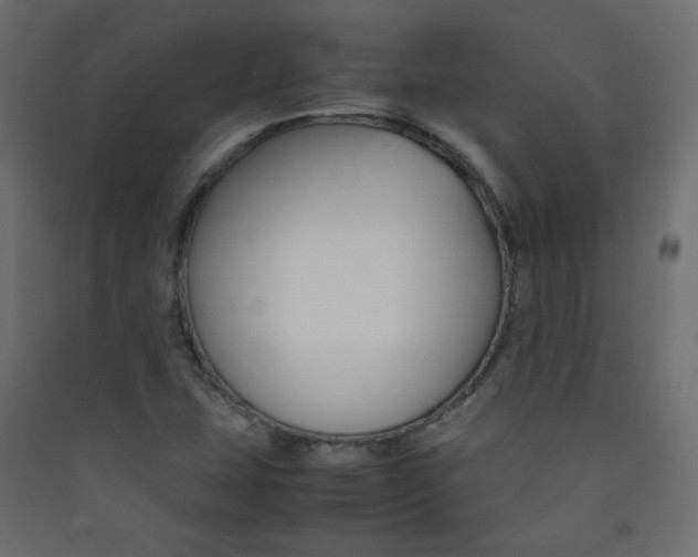 X0000089451407200707131917