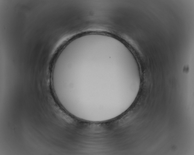 X0000089451408200707131917