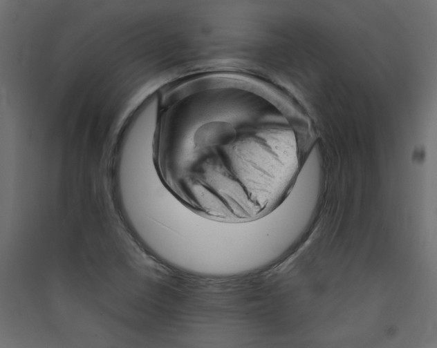 X0000089451410200707131917