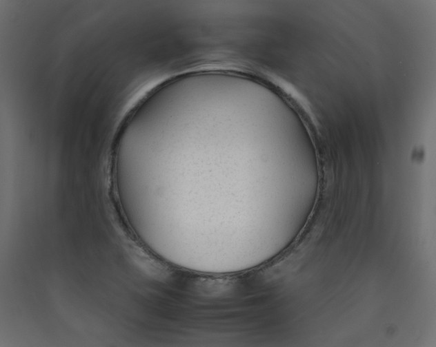 X0000089451415200707131917