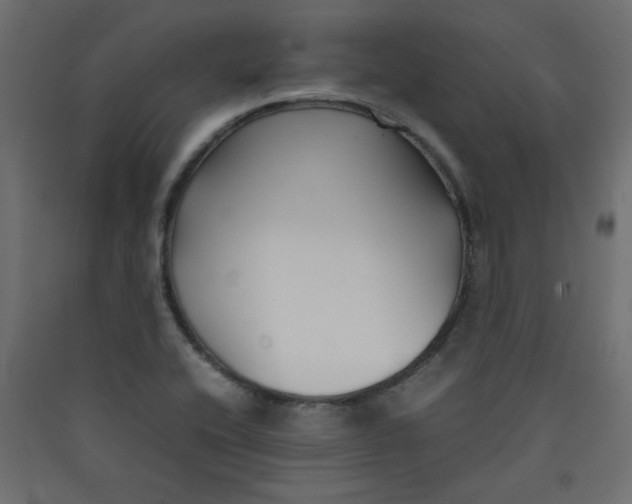 X0000089451416200707131917