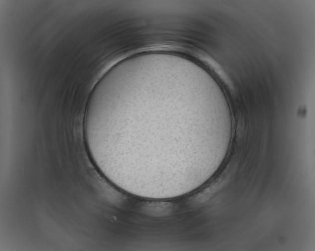 X0000089451417200707131917