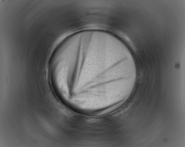 X0000089451419200707131917