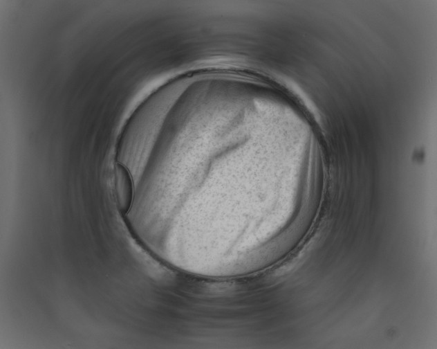 X0000089451421200707131917