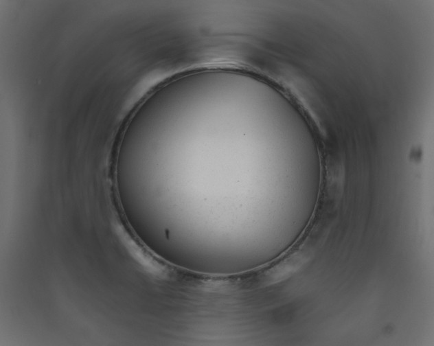 X0000089451422200707131917