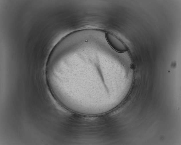 X0000089451423200707131917