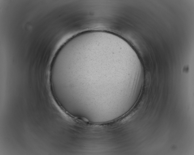 X0000089451424200707131917