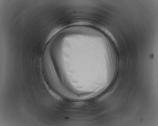 X0000089451425200707131917