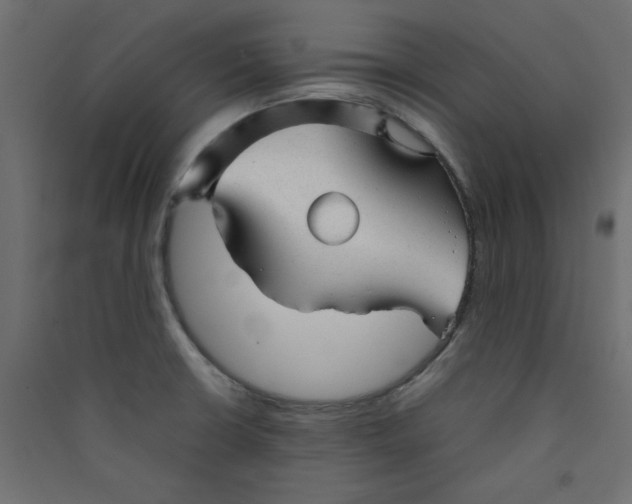 X0000089451426200707131917