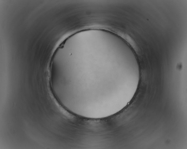 X0000089451428200707131917