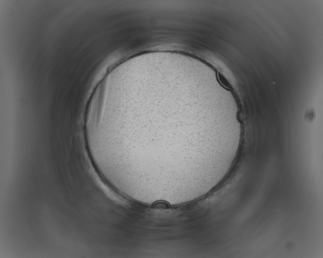 X0000089451429200707131917