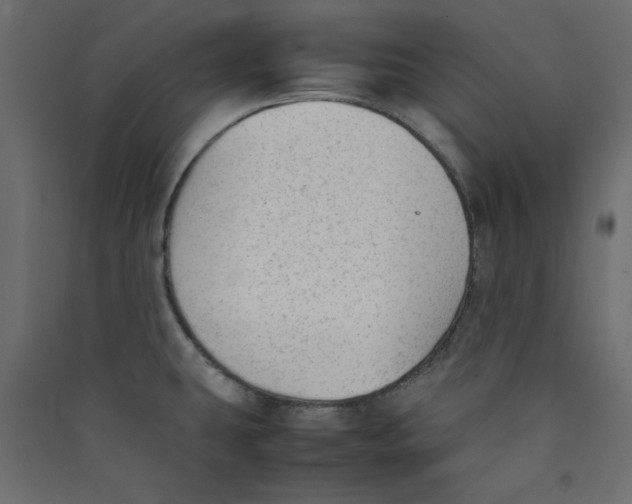 X0000089451431200707131917