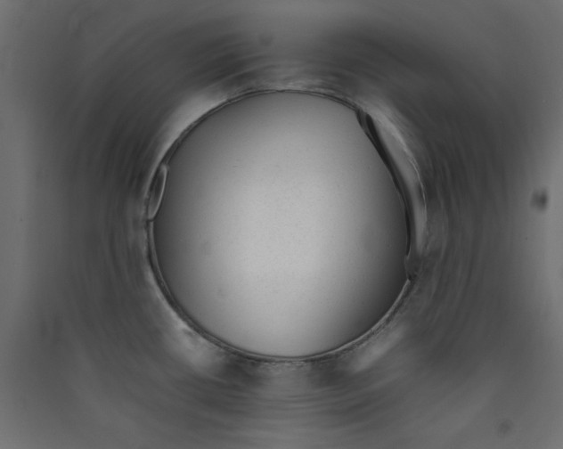 X0000089451434200707131917