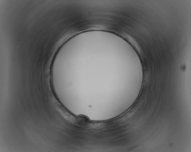 X0000089451435200707131917